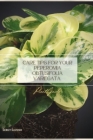 Care Tips for Your Peperomia Obtusifolia Variegata: Plant Guide By Sergy Savosh Cover Image