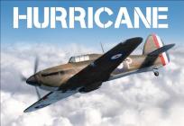 Hurricane  Cover Image