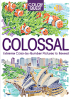 Color Quest: Colossal: The Ultimate Color-by-Number Challenge Cover Image