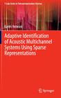 Adaptive Identification of Acoustic Multichannel Systems Using Sparse Representations Cover Image