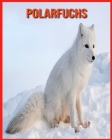 Polarfuchs: Sagenhafte Fotos & Buch mit lustigem Wissen über Polarfuchs für Kinder By Alicia Moore Cover Image