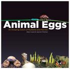 Animal Eggs: An Amazing Clutch of Mysteries and Marvels By Dawn Cusick, Joanne O'Sullivan, Photo illustrated (Illustrator) Cover Image
