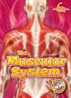 The Muscular System (Your Body Systems) By Rebecca Pettiford Cover Image