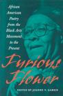 Furious Flower: African American Poetry from the Black Arts Movement to the Present (Center Books) By Joanne V. Gabbin (Editor), Center for American Places (Prepared by) Cover Image