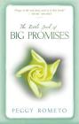 The Little Book of Big Promises Cover Image