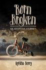 Born Broken: An Adoptive Journey By Kristin Berry Cover Image