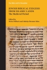 Jewish Biblical Exegesis from Islamic Lands: The Medieval Period By Meira Polliack (Editor), Athalya Brenner-Idan (Editor) Cover Image