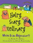 Hairy, Scary, Ordinary: What Is an Adjective? (Words Are Categorical (R)) By Brian P. Cleary, Jenya Prosmitsky (Illustrator) Cover Image