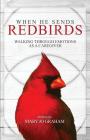 When He Sends Redbirds: Walking Through Emotions As a Caregiver Cover Image