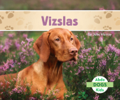 Vizslas Cover Image