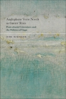 Anglophone Verse Novels as Gutter Texts: Postcolonial Literature and the Politics of Gaps By Dirk Wiemann Cover Image
