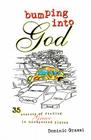 Bumping into God: 35 Stories of Finding Grace in Unexpected Places By Dominic Grassi Cover Image