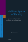 Galilean Spaces of Identity: Judaism and Spatiality in Hasmonean and Herodian Galilee (Supplements to the Journal for the Study of Judaism #214) Cover Image