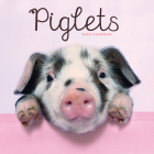 2023 Piglets Mini Calendar By Carousel Calendars (Editor) Cover Image