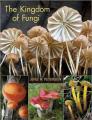 The Kingdom of Fungi By Jens H. Petersen Cover Image