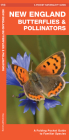 New England Butterflies & Pollinators: A Folding Pocket Guide to Familiar Species By James Kavanagh Cover Image