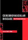 Cerebrovascular Disease: 22nd Princeton Conference By Pak H. Chan (Editor) Cover Image