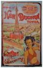 The History of New Brighton Tower Cover Image