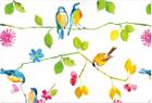 Watercolor Birds Note Cards [With 15 Envelopes] By Inc Peter Pauper Press (Created by) Cover Image
