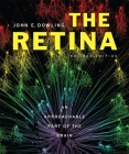 The Retina: An Approachable Part of the Brain By John E. Dowling Cover Image