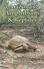 Arizona's Amphibians & Reptiles: A Natural History and Field Guide Cover Image