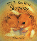 While You Were Sleeping By John Butler Cover Image
