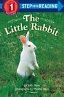 The Little Rabbit (Step into Reading) By Judy Dunn Cover Image