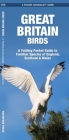 Great Britain Birds, 2nd Edition: A Folding Pocket Guide to Familiar Species of England, Scotland & Wales (Pocket Naturalist Guide) Cover Image