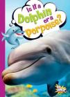 Is It a Dolphin or a Porpoise? (Can You Tell the Difference?) Cover Image