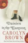 Daisies in the Canyon By Carolyn Brown Cover Image
