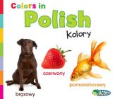 Colors in Polish: Kolory (World Languages - Colors) By Daniel Nunn Cover Image