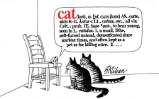 Cat By B. Kliban Cover Image