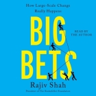 Big Bets: How Large-Scale Change Really Happens Cover Image