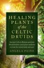 Healing Plants of the Celtic Druids: Ancient Celts in Britain and Their Druid Healers Used Plant Medicine to Treat the Mind, Body and Soul By Angela Paine Cover Image