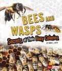 Bees and Wasps: Secrets of Their Busy Colonies By Sara L. Latta Cover Image