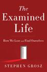 The Examined Life: How We Lose and Find Ourselves By Stephen Grosz Cover Image