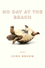 No Day at the Beach (Wisconsin Poetry Series) By John Brehm Cover Image