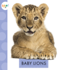 Baby Lions (Spot) By K.C. Kelley Cover Image