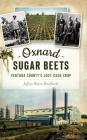 Oxnard Sugar Beets: Ventura County's Lost Cash Crop By Jeffrey Maulhardt Cover Image