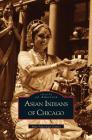 Asian Indians of Chicago By Indo American Book Co, America Indo, Indo-American Center Cover Image