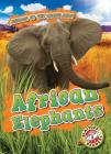 African Elephants By Kaitlyn Duling Cover Image