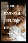 Guide to Post natal Depletion Treatment: postnatal period is the most critical and yet the most neglected phase in the lives of mothers and babies Cover Image