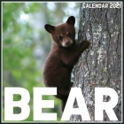 Bear Calendar 2021: Official Bear Calendar 2021, 12 Months Cover Image