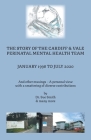 The Story of the Cardiff and Vale Perinatal Mental Health Team January 1998 - July 2020: And Other Musings - a personal view with a smattering of dive Cover Image