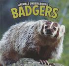 Badgers (Animals Underground) By Emily Sebastian Cover Image