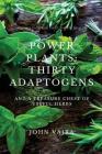 Power Plants: Thirty Adaptogens: And a Treasure Chest of Useful Herbs Cover Image
