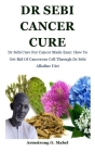 Dr Sebi Cancer Cure: Dr Sebi Cure For Cancer Made Easy: How To Get Rid Of Cancerous Cell Through Dr Sebi Alkaline Diet By Armstrong O. Mabel Cover Image