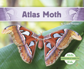Atlas Moth By Grace Hansen Cover Image