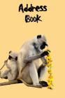 Address Book: Monkey themed 6x9 100 pages By Gilded Penguin Cover Image