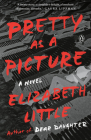 Pretty as a Picture: A Novel By Elizabeth Little Cover Image